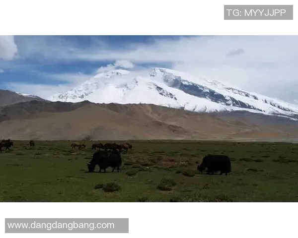 王秋明谈高原适应性问题强调自我反思与客观因素的平衡分析